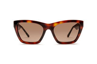 8840104550 Tortoise image-1