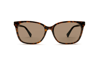 8870102490 Tortoise image-1