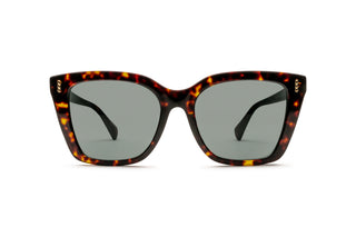 8870102500 Tortoise image-1