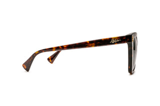 8870102500 Tortoise image-2