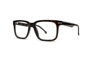 8910307120 Tortoise image-3
