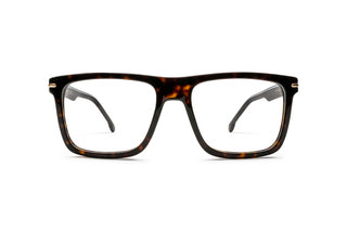 8910307200 Tortoise image-1