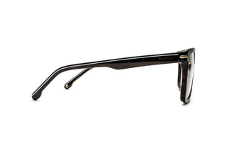 8910307200 Tortoise image-2