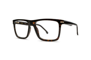 8910307200 Tortoise image-4