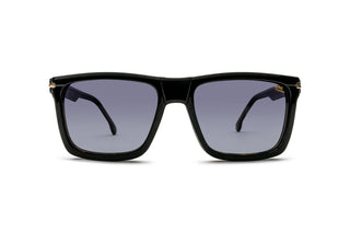 8910307200 Tortoise image-5