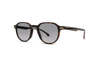 8910307260 Tortoise image-3