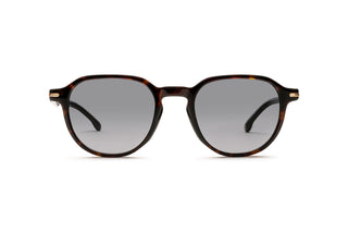 8910307260 Tortoise image-1