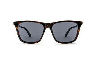 8920102510 Tortoise image-1