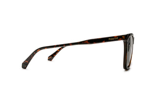 8920102510 Tortoise image-2