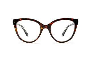 8920102800 Tortoise image-1