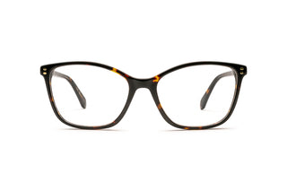 8920102960 Tortoise image-1