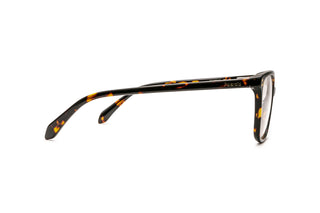 8920102960 Tortoise image-2