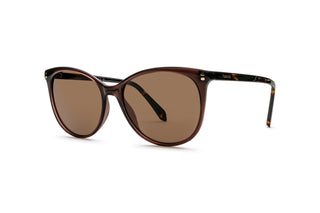 8920103050 Brown image-3