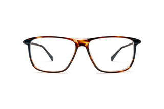 9040102880 Tortoise image-1