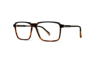 9040104460 Tortoise image-3