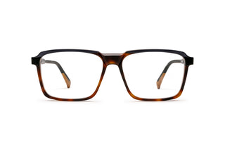 9040104460 Tortoise image-1