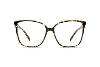 9040105160 Tortoise image-1