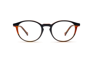 9040105540 Tortoise image-1