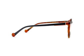 9040105540 Tortoise image-2