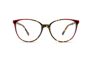9040105590 Tortoise image-1