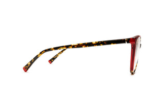 9040105590 Tortoise image-2