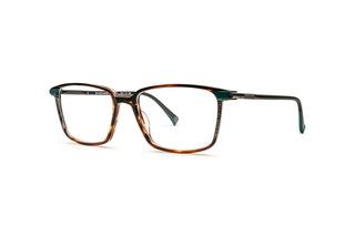 9040105640 Tortoise image-3