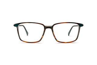 9040105640 Tortoise image-1