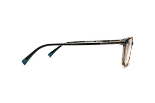 9040105640 Tortoise image-2