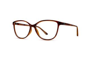 9340101090 Tortoise image-3