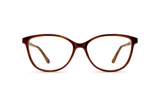 9340101090 Tortoise image-1