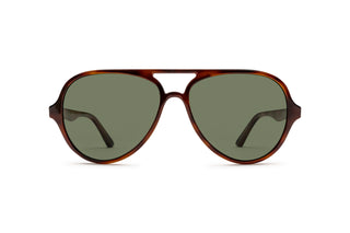 9340101160 Tortoise image-1