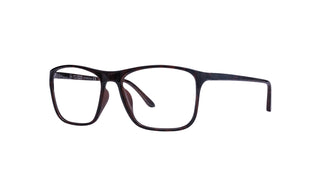 9340300130 Tortoise image-3