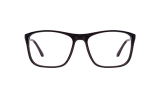 9340300130 Tortoise image-1