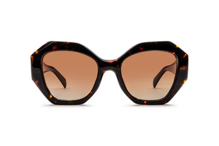 9570502180 Tortoise image-1