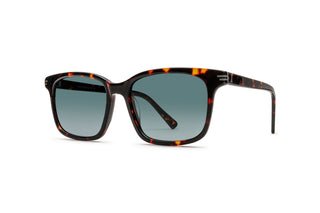 9570504120 Tortoise image-3