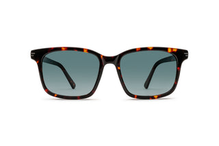 9570504120 Tortoise image-1