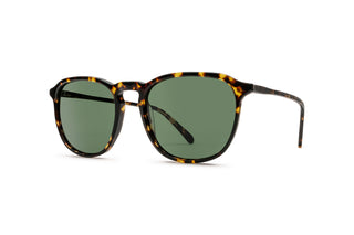 9570504150 Tortoise image-3