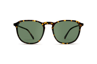 9570504150 Tortoise image-1