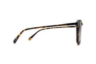 9570504150 Tortoise image-2