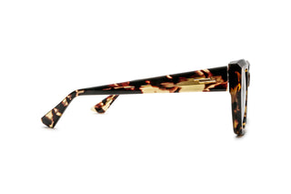 9570504570 Tortoise image-2