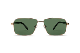 9570505020 Gold/Tortoise image-1