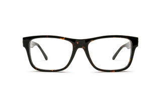 9720103960 Tortoise image-1