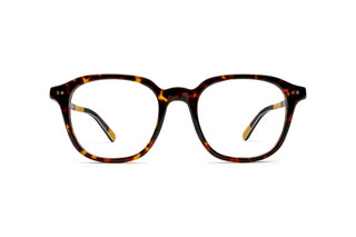 9850101290 Tortoise image-1