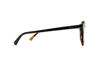 9850101290 Tortoise image-2