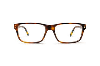 9850101850 Tortoise image-1
