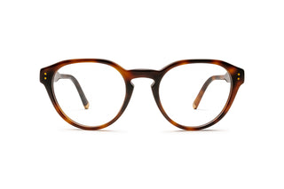 9850101910 Tortoise image-1
